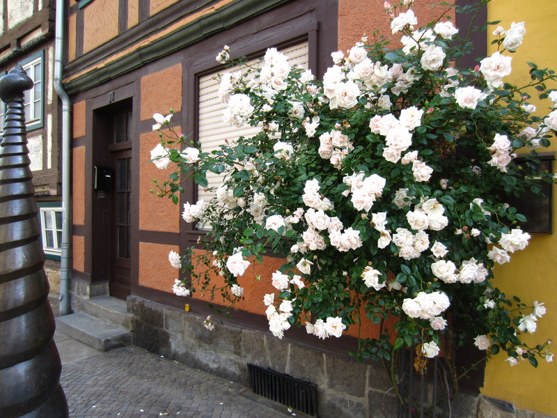 Wernigerode