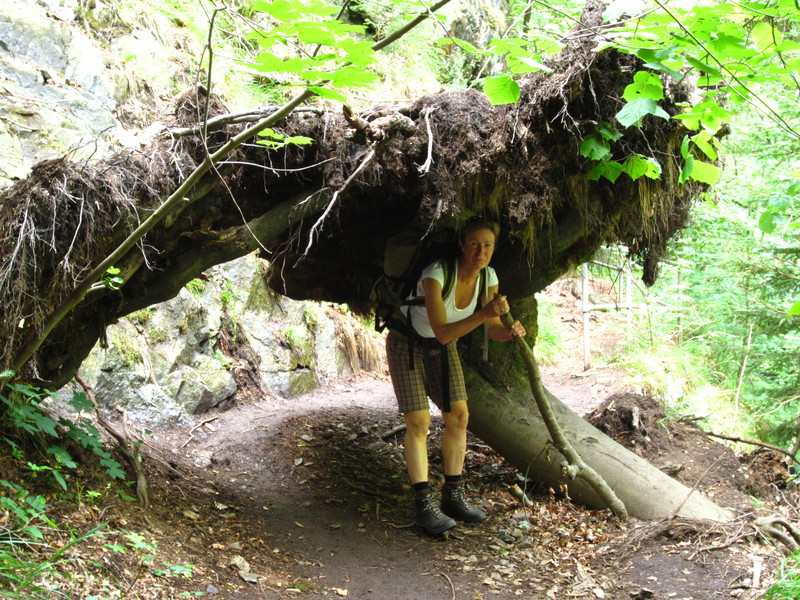 Bodetal