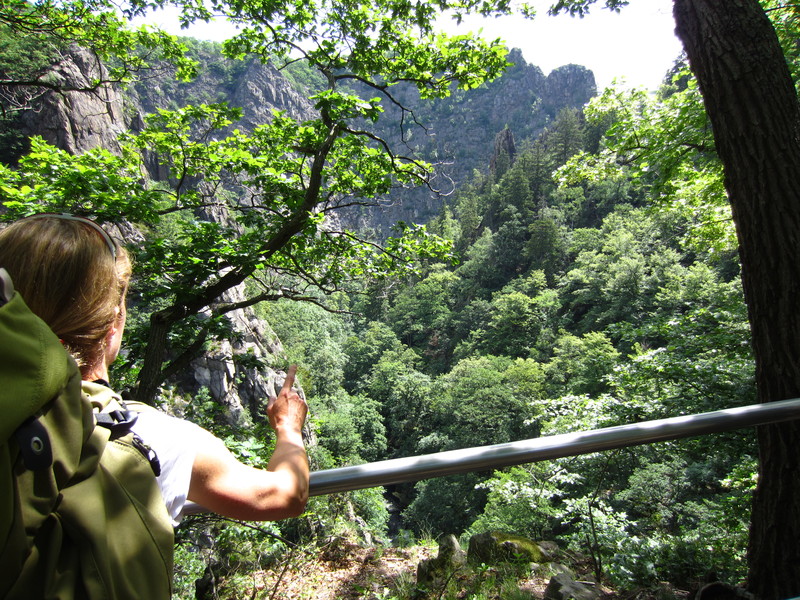Bodetal