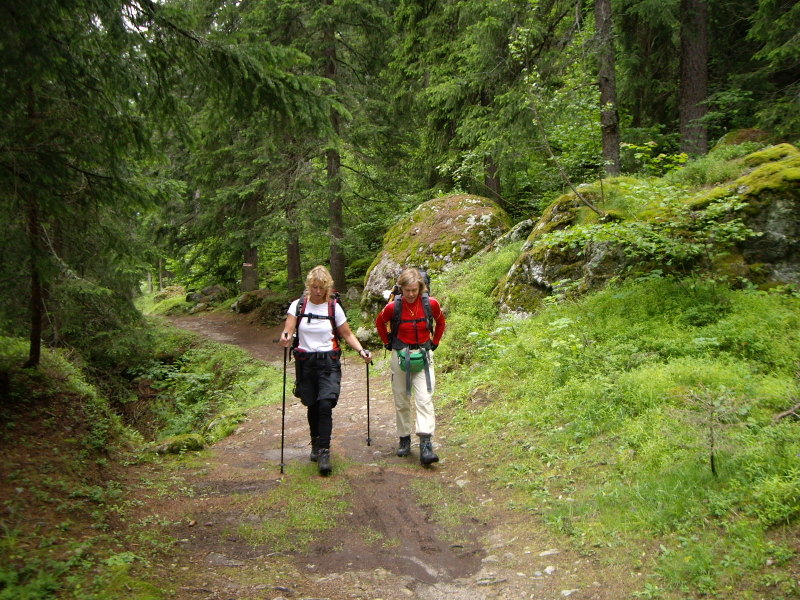 mot Argentiere
