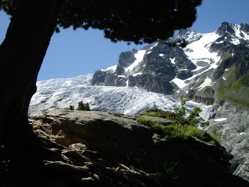 Trient glaciären