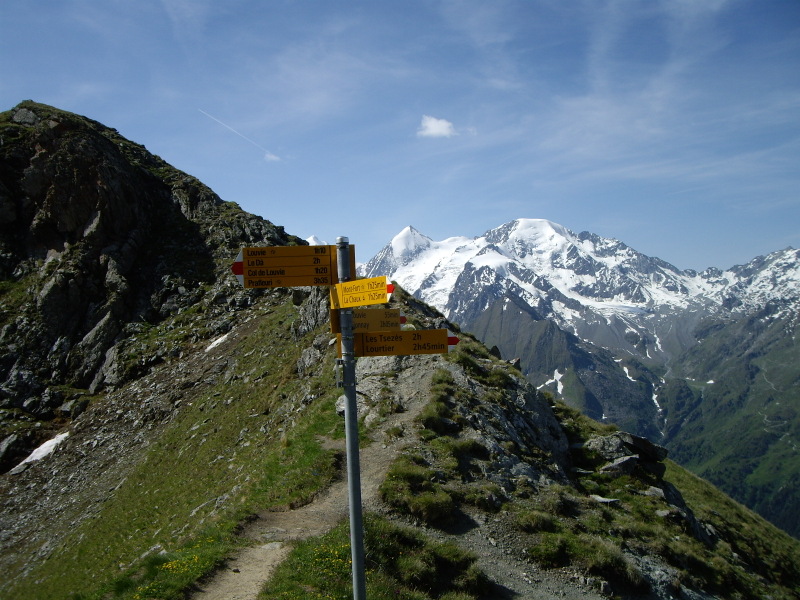 Col Termin