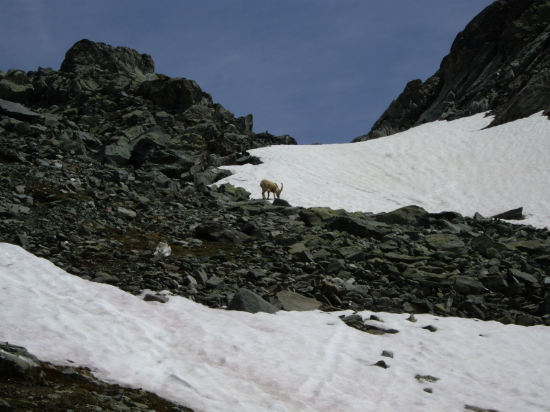 Col de Louvie