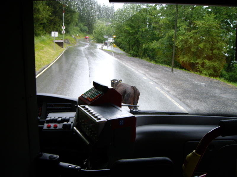 Bussen mot Sion
