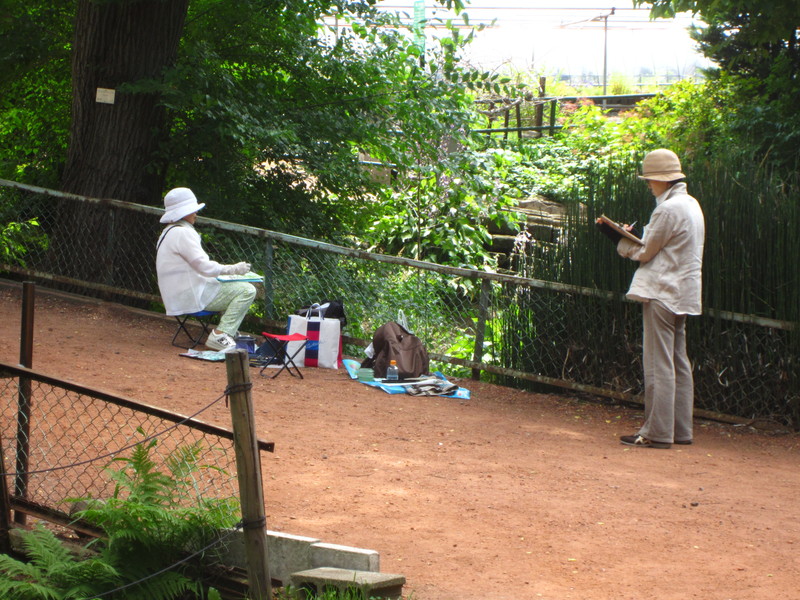 botaniska trädgården